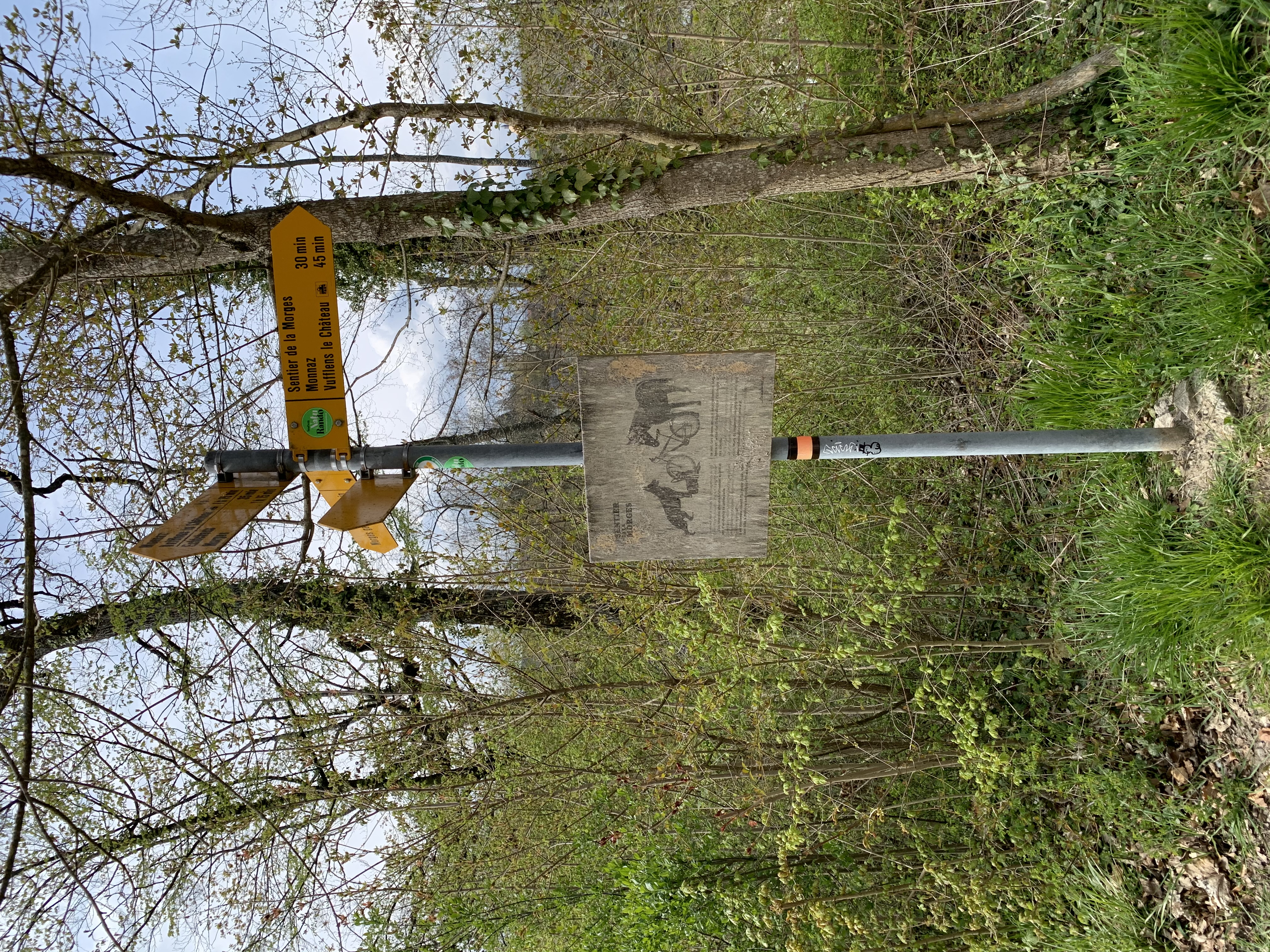 Sentier de la Morges – repérage ancien parcours